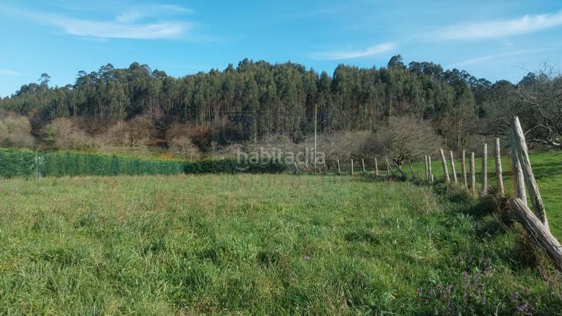 Foto 015fdb5e-7c31-4839-a0aa-d63dded5ec25. Terreny residencial a Pillarno Castrillón