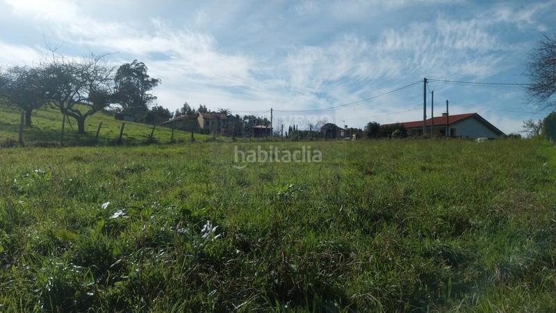 Foto 0ee8e1da-ab64-4c91-bb7e-4a08d484811b. Terreny residencial a Pillarno Castrillón