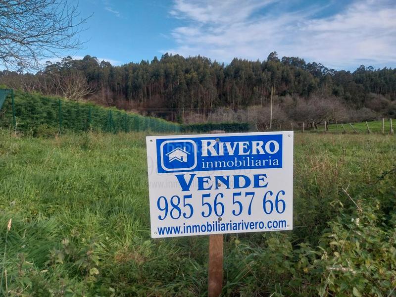 Foto 1976728f-e4df-4a97-8da5-d2cb6f724caf. Terreny residencial a Pillarno Castrillón