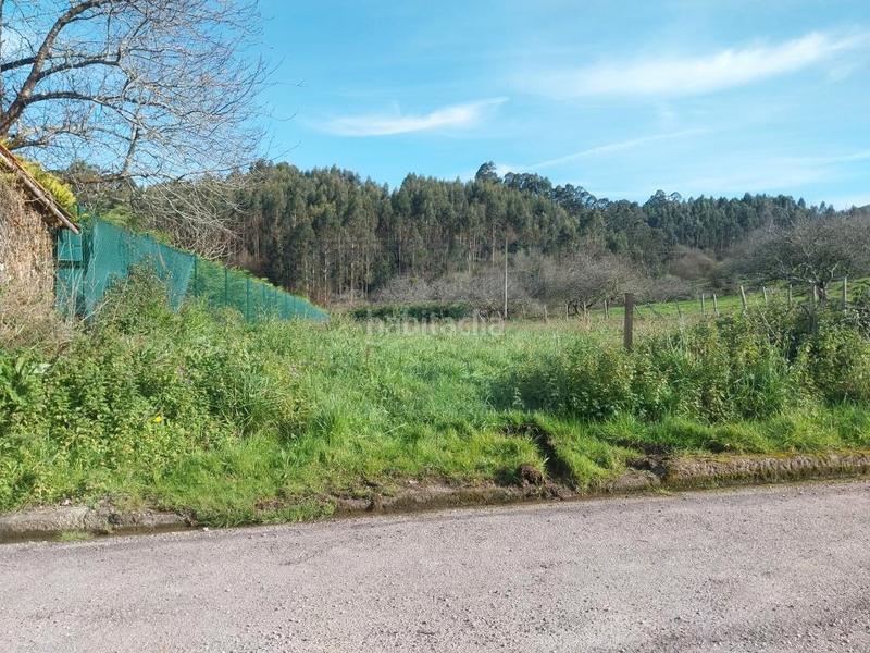 Foto 74d298fe-b83d-4e15-993f-82d0dadea079. Terreny residencial a Pillarno Castrillón
