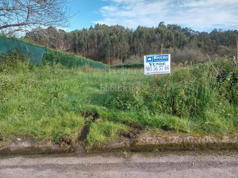 Foto 7c0ba0f1-ea13-4098-ad80-011a0b34648c. Terreny residencial a Pillarno Castrillón