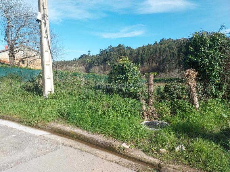 Foto ad64c6f1-c56d-4705-b72e-23586db24125. Terreny residencial a Pillarno Castrillón