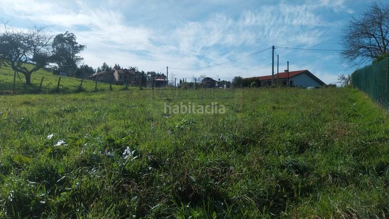 Foto e699c173-de1b-4d1f-9451-6bdce1d7701a. Terreny residencial a Pillarno Castrillón