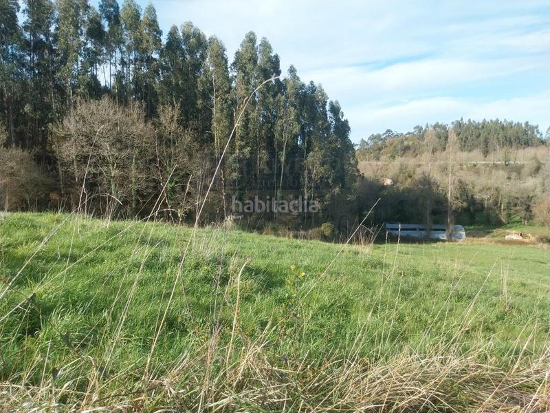 Foto cbf0e20d-7586-4d52-8885-18eb03a8891b. Fondo rustico in Pillarno Castrillón