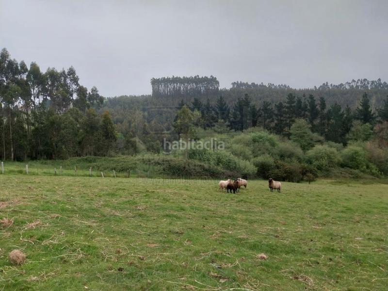 Foto 64f3cfbc-e3e2-486b-b1df-6d569168d4f0. Terreno residencial finca edificable en el valle, ambiedes, () asturias, 11.800 m2 en Gozón