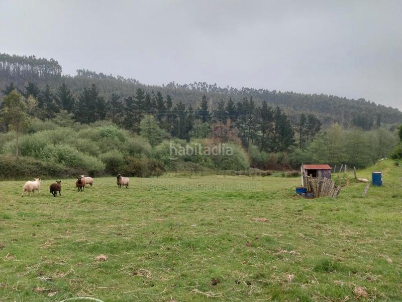 Foto 676a1ca0-c5e6-42cf-962f-3a294e7974ec. Terreno residencial finca edificable en el valle, ambiedes, () asturias, 11.800 m2 en Gozón
