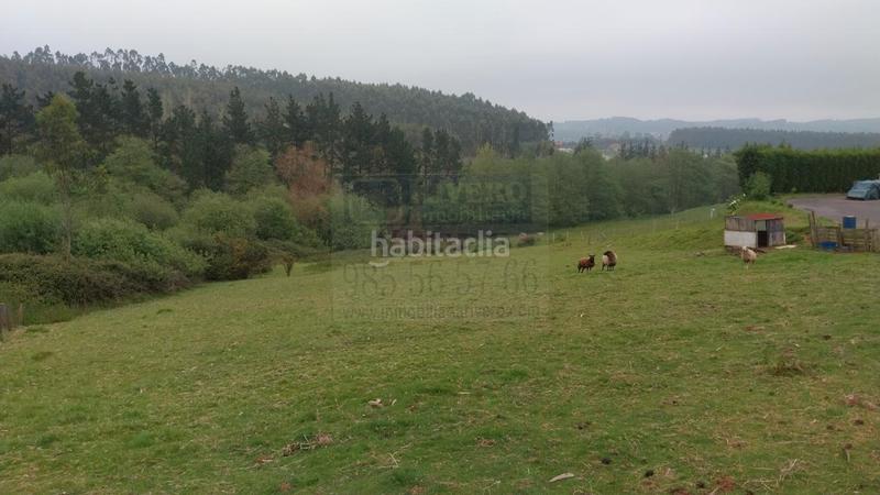 Foto 6b2b42f6-7def-40d8-862a-412be1bbef12. Terreno residencial finca edificable en el valle, ambiedes, () asturias, 11.800 m2 en Gozón