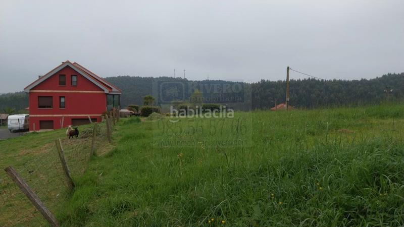 Foto ced001f4-a2b5-4fc7-964d-41319af719b9. Terreno residencial finca edificable en el valle, ambiedes, () asturias, 11.800 m2 en Gozón