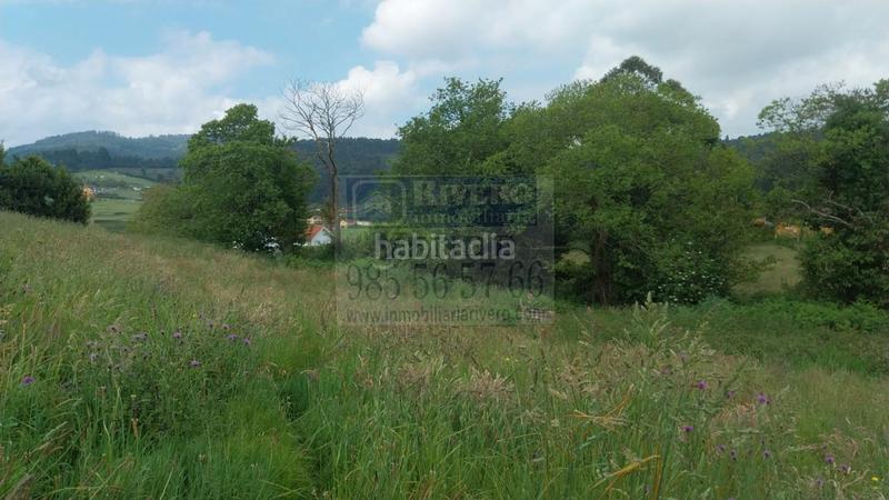 Foto 3a477ea6-f449-40f5-bf78-65f39c907719. Terreno residencial ultima parcela edificable en Pillarno, () asturias en Castrillón