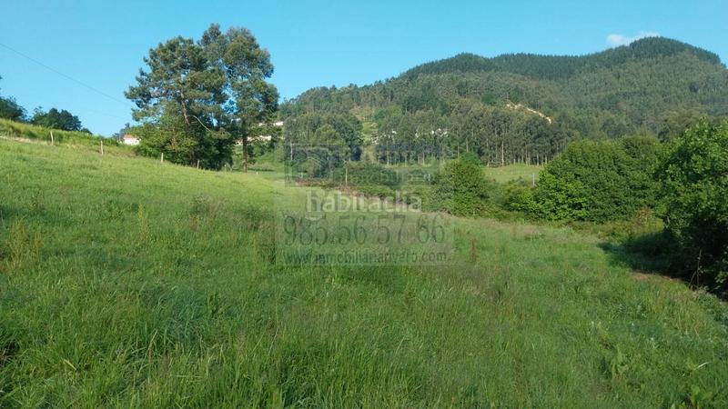 Foto 083aaf34-0305-44f4-858b-68d23edb6903. Terreno residenziale in Pravia