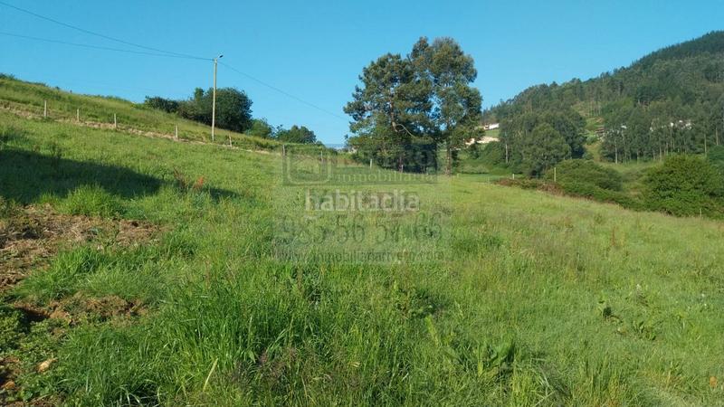 Foto 22dc4b8b-f23d-47f3-9db6-9c785d473972. Terreno residenziale in Pravia