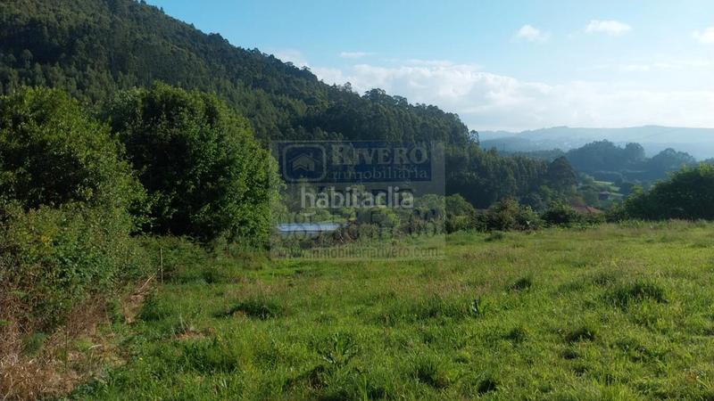 Foto 38f7e998-a646-4590-81b0-f2f4df26ac9a. Terreno residenziale in Pravia