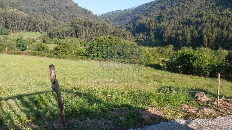 Foto 507acd95-f400-4dd3-bf0b-6001037569d8. Terreno residenziale in Pravia