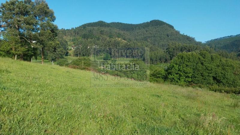 Foto 531871b9-b91f-4418-9787-ce99700455fa. Terreno residenziale in Pravia