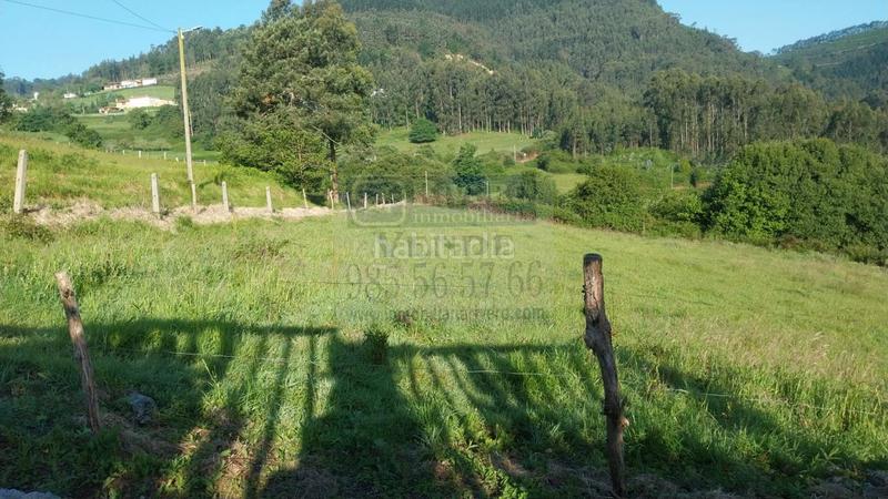 Foto 59736154-b17d-4286-98fa-55d7252774e5. Terreno residenziale in Pravia