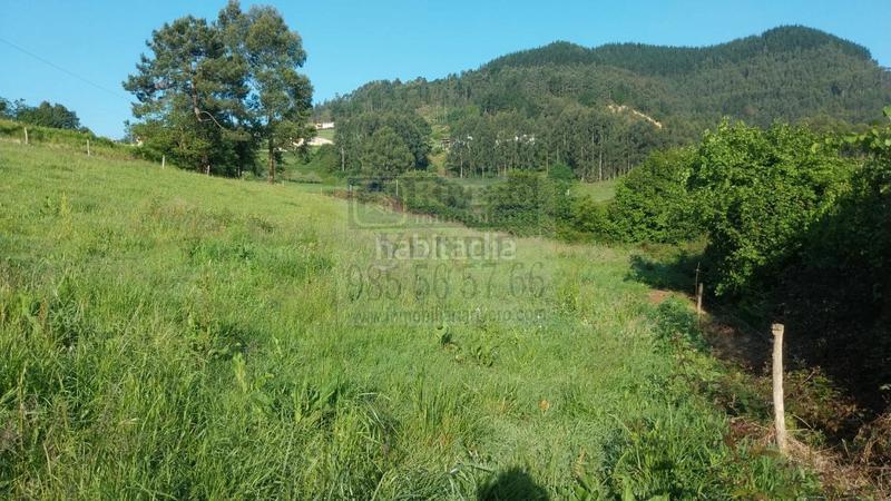 Foto 86b63d89-d4cc-488a-badf-9e418cc93cab. Terreno residenziale in Pravia