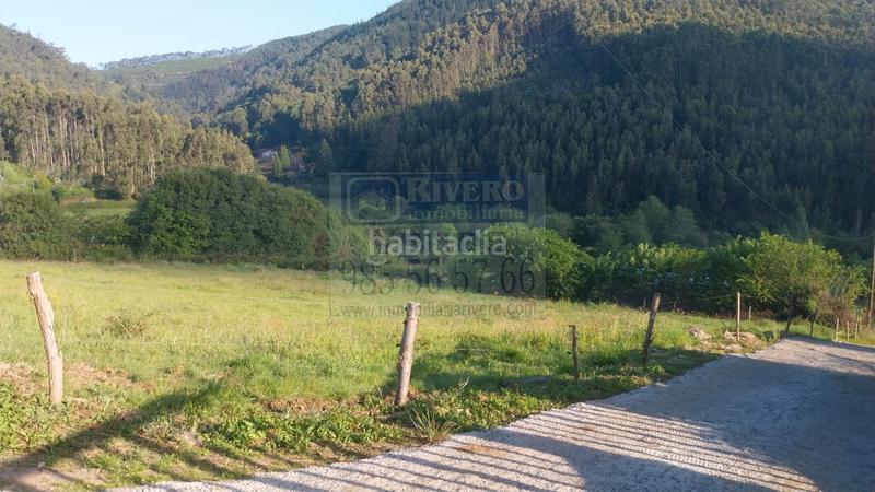 Foto 96fce665-19e4-41a9-9583-12bec139d8d3. Terreno residenziale in Pravia