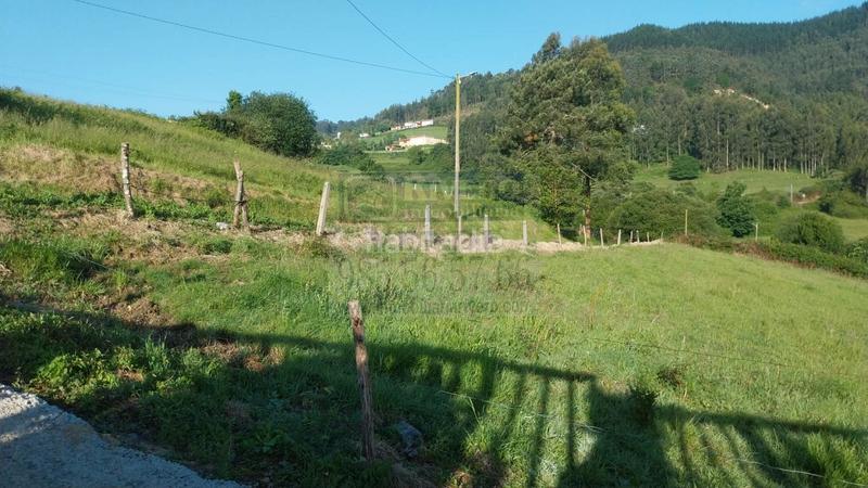 Foto 9a5ef719-ad33-4c33-8f45-5b74704a223c. Terreno residenziale in Pravia