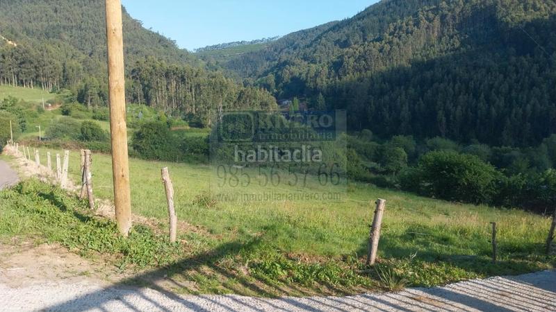Foto b34a0928-ba2d-477a-9120-4f4661687c61. Terreno residenziale in Pravia