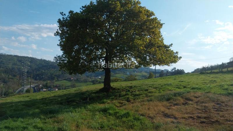 Foto 68180f9c-65b6-4e4f-ab36-55e0fada3018. Terreno residencial parcela en espinera, zona lieres () asturias, 39.000 € en Siero