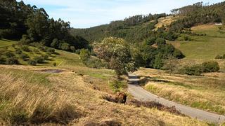 Terreno residencial  Aldea argañosa. La argañosa (candamo) asturias, finca edificable para dos casas,