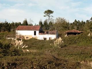 Casa  N/a. Casa, cuadra-tenada, hórreo y finca 15.000 m2 en tamón (carreño)