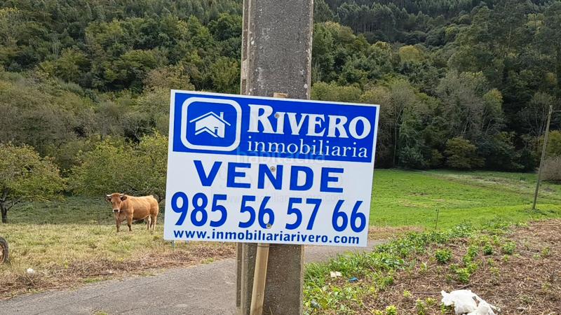 Foto 39c98001-79dd-4333-9d92-1ae267f54cd5. Terrain résidentiel dans Illas