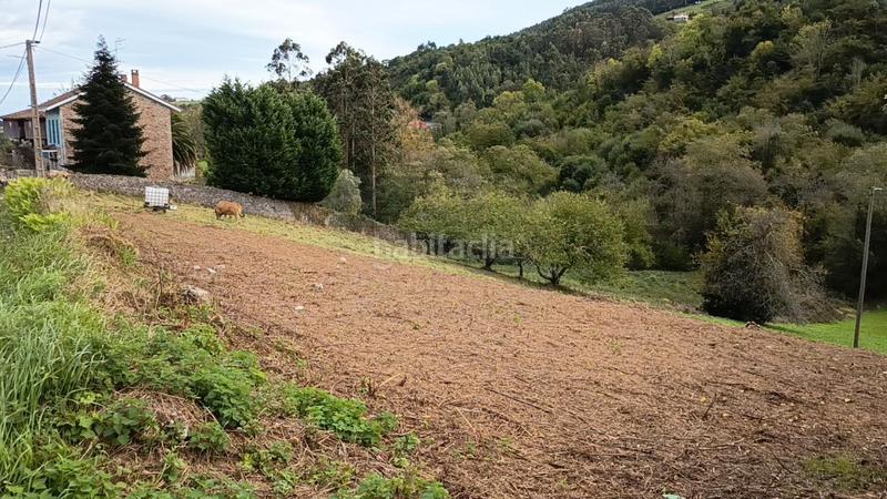 Foto 9e634d93-b6cb-4570-ab71-0926a6a5542a. Terrain résidentiel dans Illas