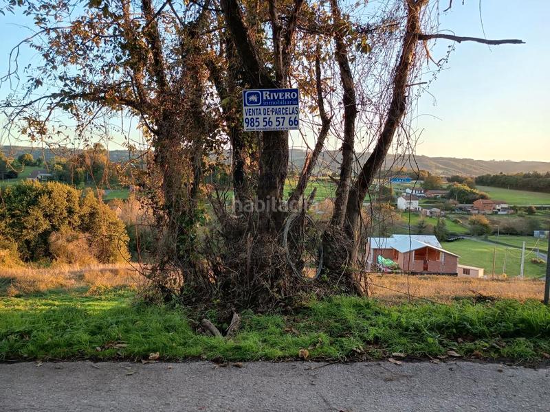 Foto 2c87cf2a-20d7-47ff-8d54-11777aa16496. Terreny residencial a Carreño