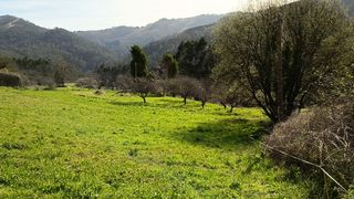 Terreno residenziale  La peral. La peral (illas) asturias, finca edificable