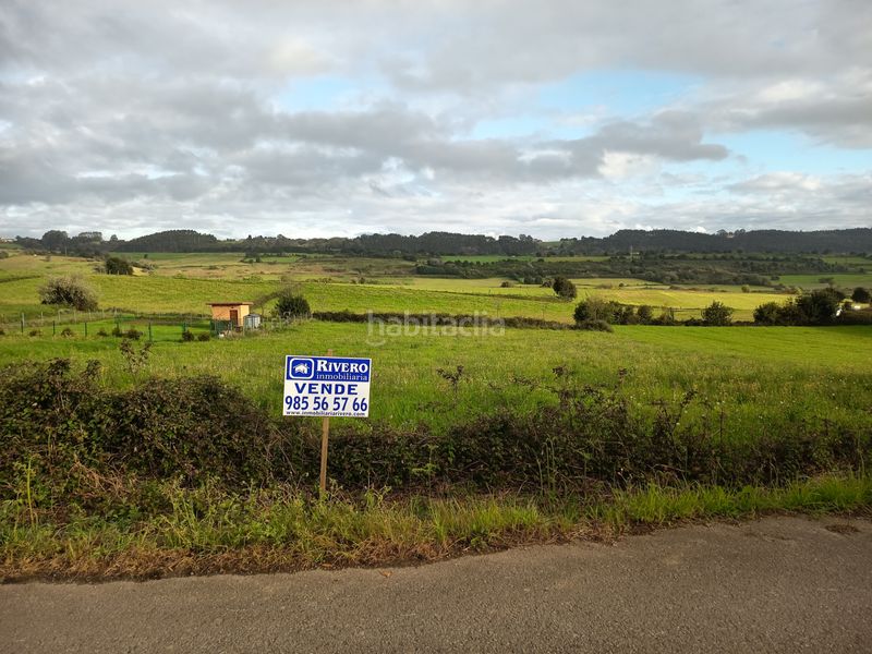 Foto 468e112d-c953-48a3-b8b3-7659ac11f9f1. Finca rústica a Carreño