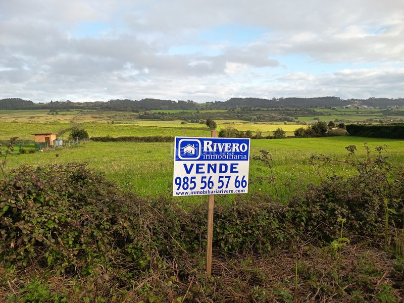 Foto 71275cff-3585-428d-a4db-e5bdb01c4fbc. Finca rústica a Carreño