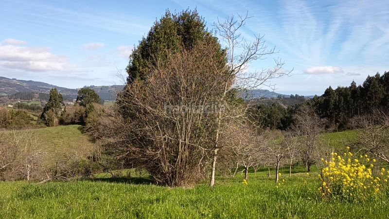 Foto 09a2d10a-bc01-42b5-afc2-8b9d50d06e19. Casa a Parroquias suroccidentales Villaviciosa