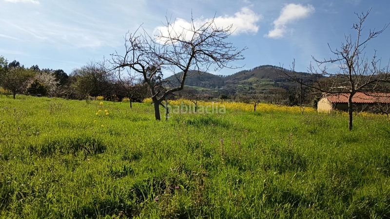 Foto 2dcd1112-a1b8-405a-8a20-6d058212cbc8. Casa a Parroquias suroccidentales Villaviciosa