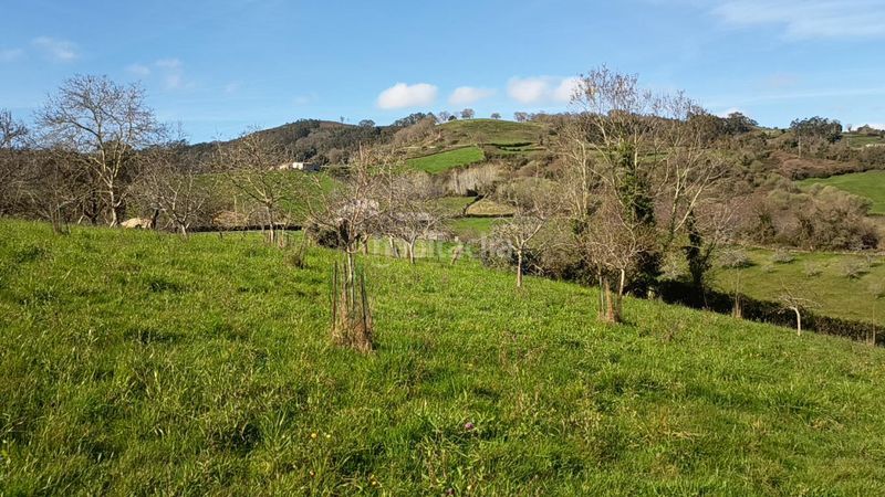 Foto b6918576-d0d7-434d-8aab-c51e5fde21eb. Casa a Parroquias suroccidentales Villaviciosa