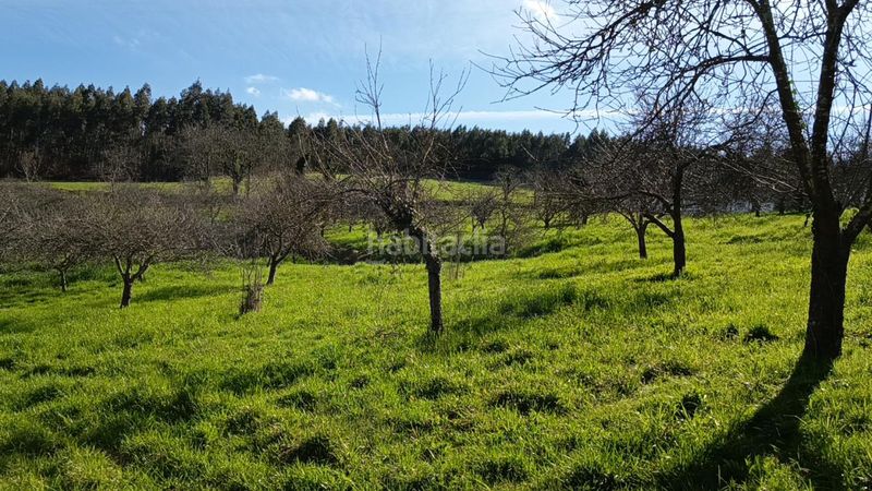 Foto b9f1c462-d173-4fb9-bd1e-db8384480994. Casa a Parroquias suroccidentales Villaviciosa