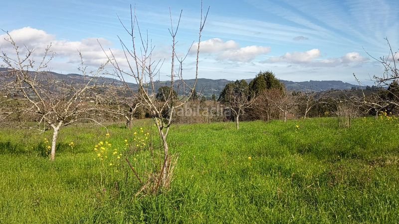 Foto d8a8d47a-32b9-477d-8ee7-a5a7b083f543. Casa a Parroquias suroccidentales Villaviciosa