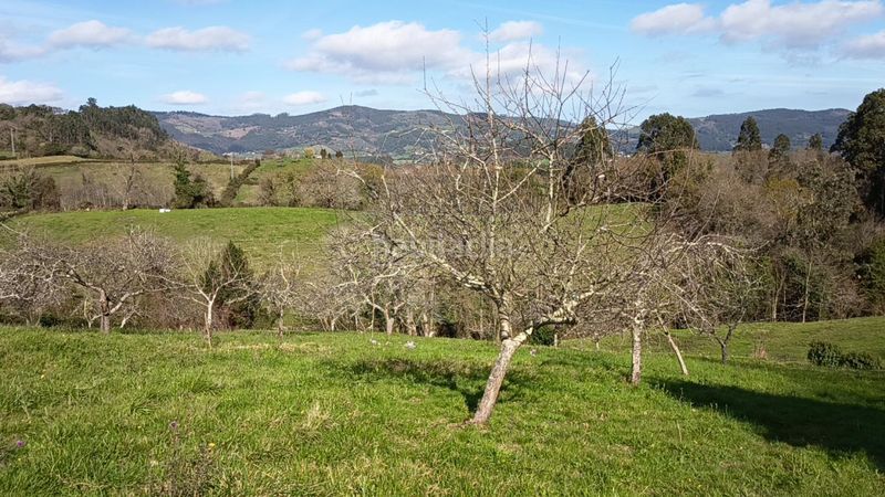 Foto ed8fafc7-5e10-426b-be9b-234b63b07644. Casa a Parroquias suroccidentales Villaviciosa