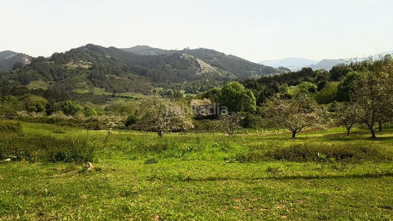 Foto 2fa3a046-a694-4c4d-a753-b31a8eddcd23. Terreny residencial a Candamo