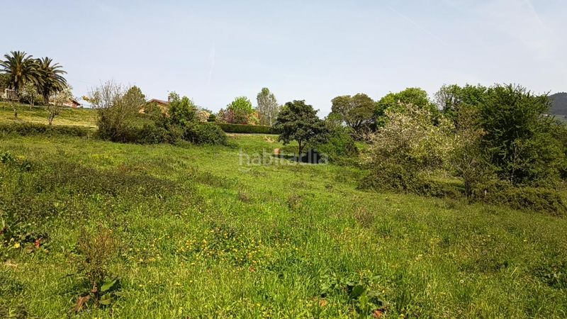 Foto 4a876f69-3c0a-4f5f-9dd7-0b43eb0ffe56. Terreny residencial a Candamo