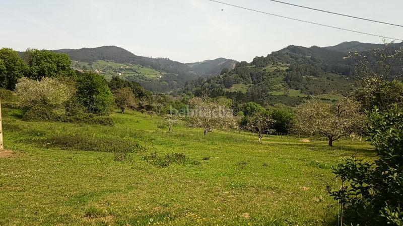 Foto dc255fbc-d257-43d9-835f-ee3655cdb463. Terreny residencial a Candamo