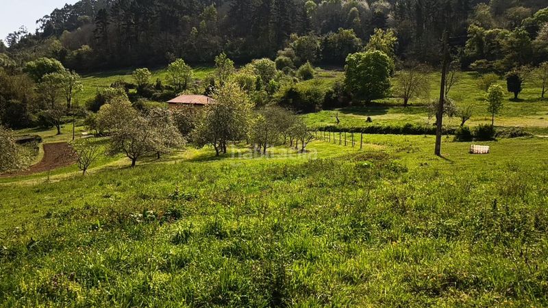 Foto dcc96639-96c6-413d-8ab6-82ad8884db37. Terreny residencial a Candamo