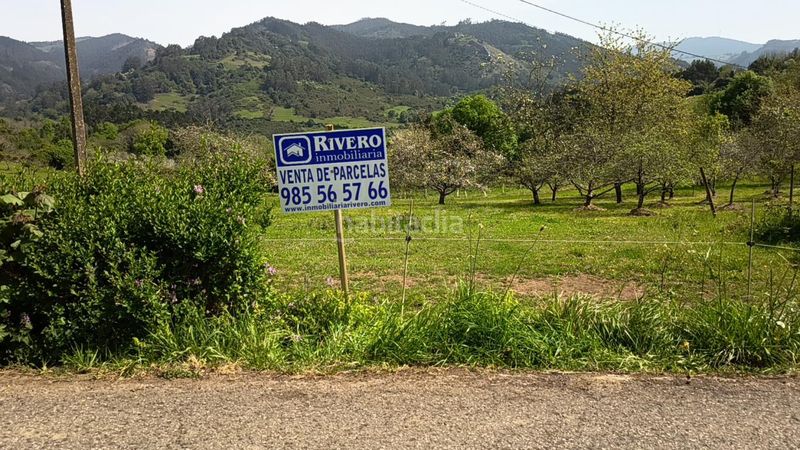 Foto ddd79334-973c-48fe-848d-88cf656593be. Terreny residencial a Candamo