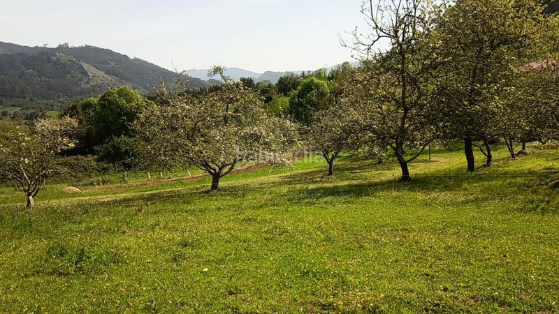 Foto dfc21f2b-514c-46f9-a43a-9083dad5fa13. Terreny residencial a Candamo