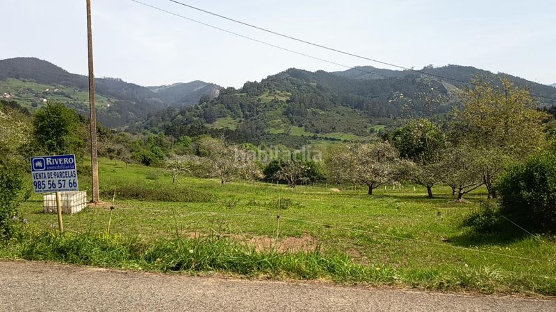 Foto e0185531-1791-416e-a398-ff76bc8af58c. Terreny residencial a Candamo