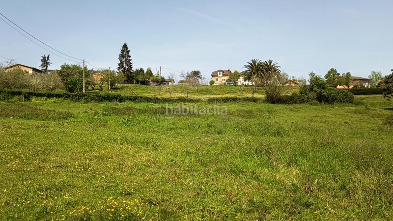 Foto e4cd66e5-ffa4-476c-9d33-564da82aa67e. Terreny residencial a Candamo