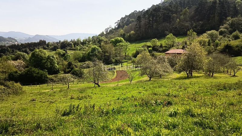 Foto ee04a6e3-5969-4d11-9d1f-708d17f3d7d2. Terreny residencial a Candamo