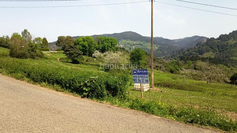 Foto f2ef934f-6a15-413c-a077-f74e975c92b2. Terreny residencial a Candamo