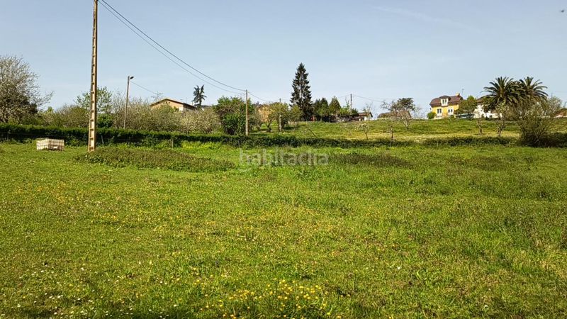 Foto f3591eb1-281a-4fe3-8b9f-7ad4ea28cced. Terreny residencial a Candamo