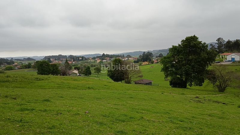 Foto 43e2adb7-9571-4ba7-8ff5-18ca3bc912cc. Terreny residencial a Pillarno Castrillón